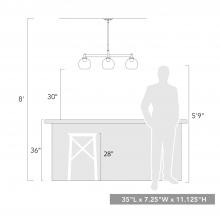 4855-3LP BLK-CLR_scale.jpg